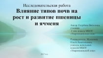 П презентация к исследовательской работе на тему Влияние типов почв на рост и развитие пшеницы и ячменя