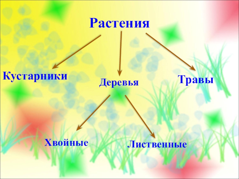 Культурные и дикорастущие растения 2 класс презентация