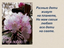 Презентация по окружающему миру Мамы в мире животных