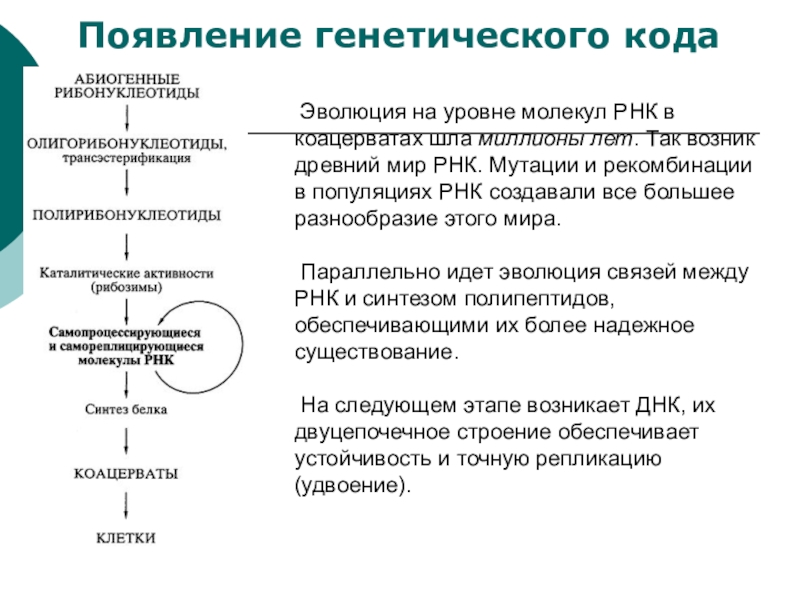 Образование коацерватов абиогенный синтез