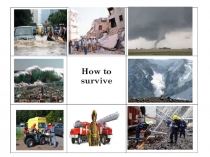 Презентация по английскому языку