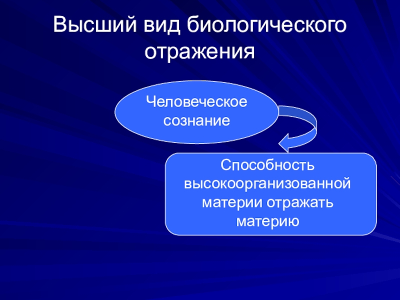 Материя презентация по философии