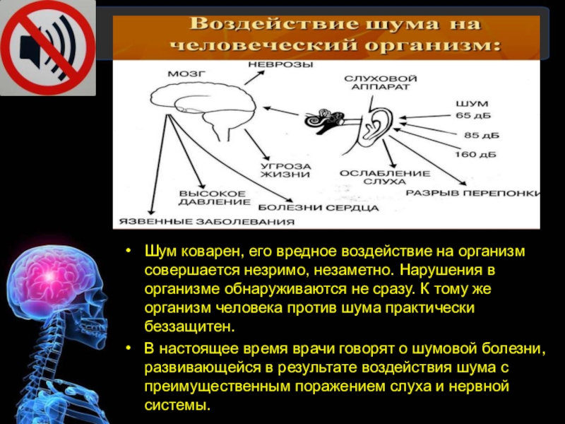 Презентация влияние шума на здоровье человека презентация