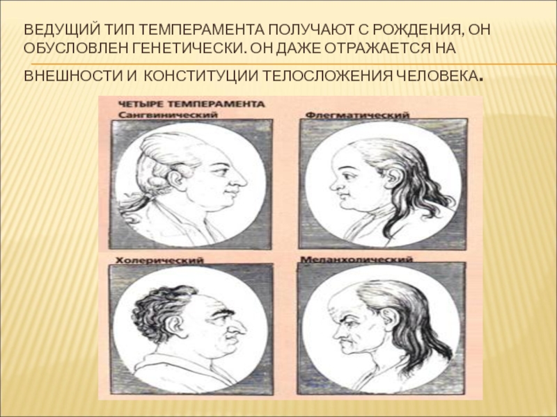 Темперамент внешность. Внешний вид темперамента. Внешность по темпераменту. Темперамент и внешность. Холерик внешность.