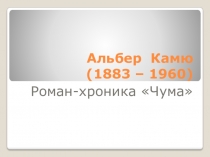 Презентация по литературе 10-11 класс