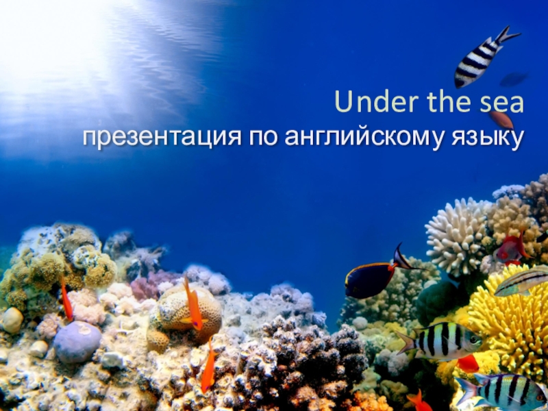 Презентация по английскому языку на тему Under the sea