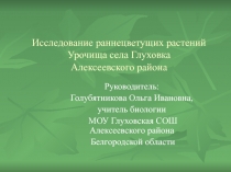 Презентация Исследование раннецветущих растений Урочища села Глуховка Алексеевского района Белгородской области