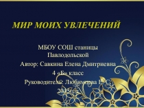 Презентация Мир моих увлечений