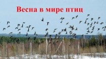Презентация по окружающему миру Весна в мире птиц (3 класс)