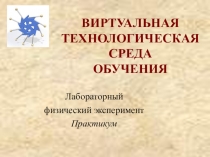 Презентация к выступлению Виртуальные или реальные лабораторные работы по физике?