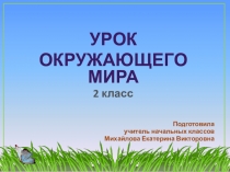 Презентация к уроку окружающего мира на тему Дикие и домашние животные