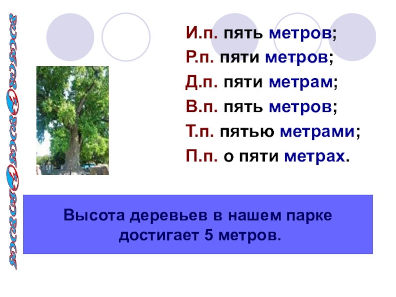 Пять метров. 5 Метров. 5 На 5 метров. 5 Метров как выглядит.