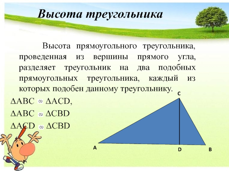 Все прямоугольники прямоугольные треугольники подобны. Высота в прямоугольном треугольнике. Высота из прямого угла треугол. Высота делит треугольник на два подобных. Высота делит прямоугольный треугольник.