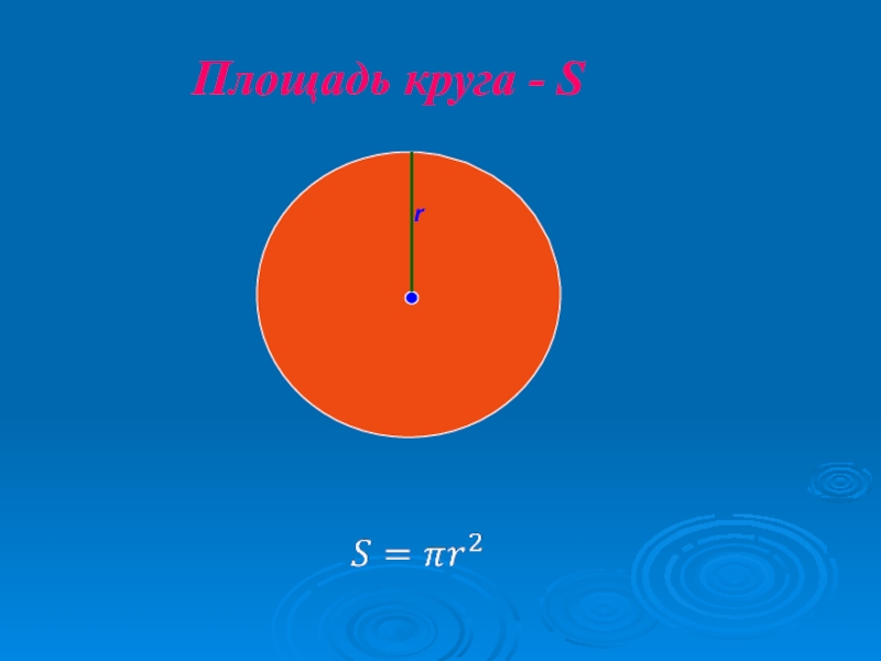 S круга. Площадь круга. Площадь круга 6 класс. Площадь круга презентация.