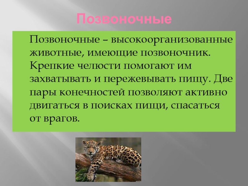 Презентация по биологии на тему животные 5 класс