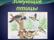 Презентация по ознакомлению с окружающим зимующие птицы