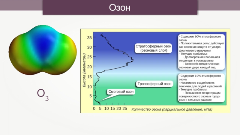 Реализация на озон. Озон. Роль озона. Биологическая роль озона. Функции озона.