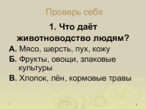 Презентация по окружающему миру на тему Какая бывает промышленность (3 класс)