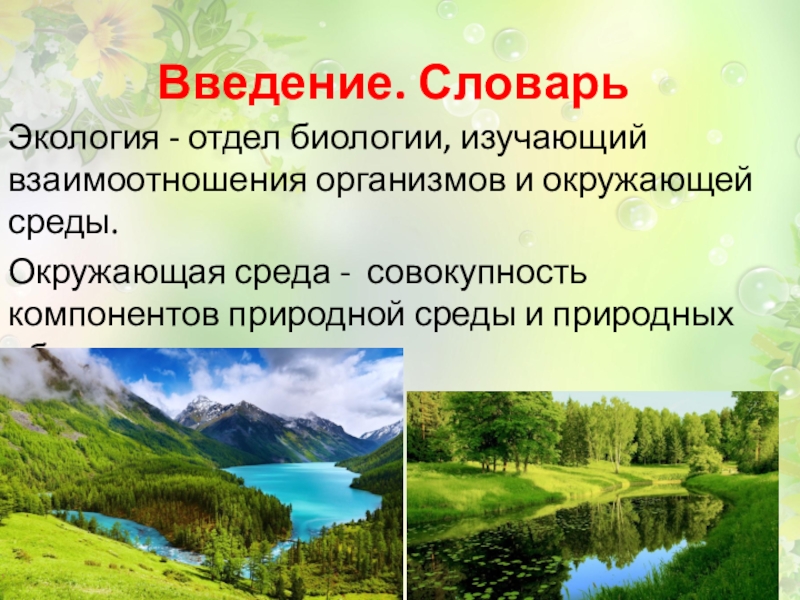 Природный объект это совокупность компонентов природной среды