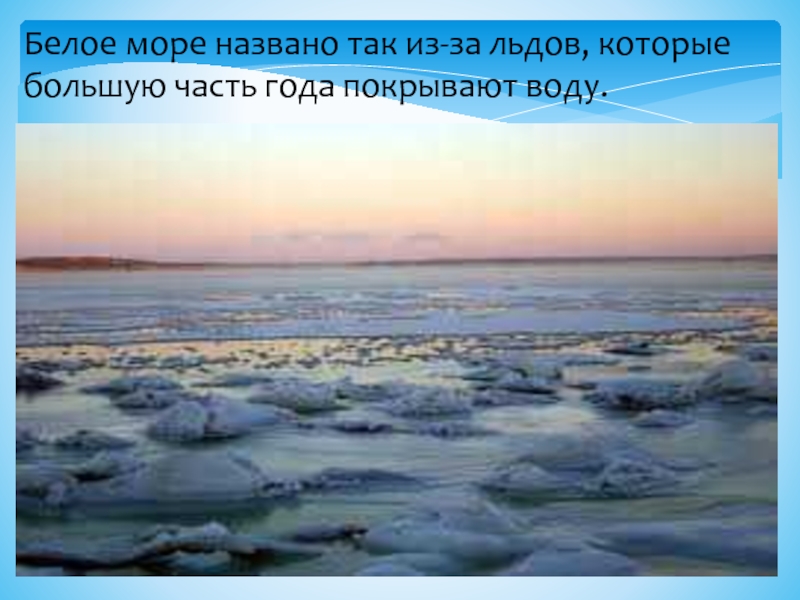 Сообщение о белом море. Белое море почему так называется. Почему море называется белым. Белое море почему. Почему белое море назвали белым.