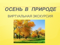 Презентация по окружающему миру Осень в природе, экскурсия