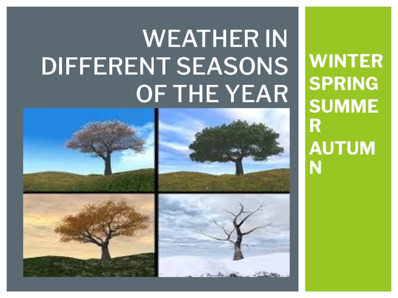 Weather in different Seasons. Seasons of the year spring
