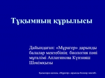 Презентация по биологии на тему  Тұқымның құрылысы (6 класс)