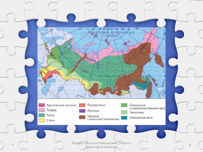 Проект по биологии 5 класс природные зоны россии