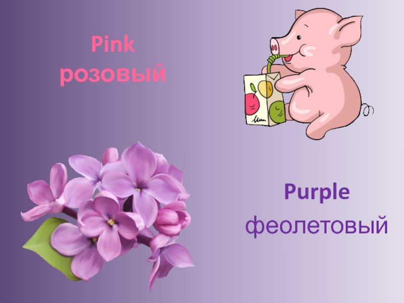 Pink розовый Purpleфеолетовый