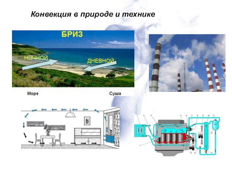 Ветер как пример конвекции в природе проект по физике