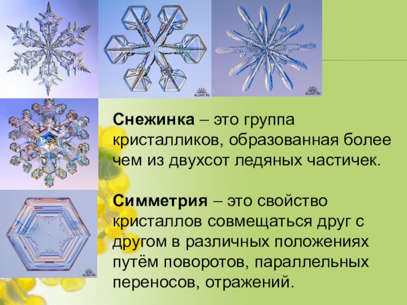 Симметрия снежинки. Центральная симметрия в природе Снежинка. Симметрия в природе зимой. Симметрия снежинок геометрия. Снежинка рисунок.