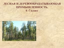 Презентация по техническому труду на тему лесная и деревообрабатывающая промышленность