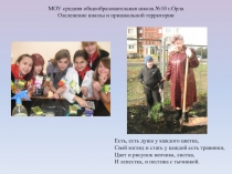 Социальный проект Озеленение школы  5-11класс