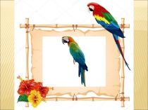 Проектная работа на темуПопугайчик Доша