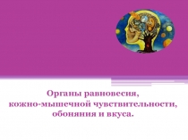 Органы равновесия, кожно-мышечной чувствительности, обоняния и вкуса