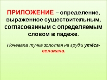 Презентация по русскому языку на тему Приложение (8 класс)