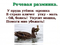 Презентация к уроку литературного чтения Храбрый утенок Б. С. Житкова