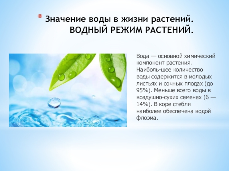 Основная вода