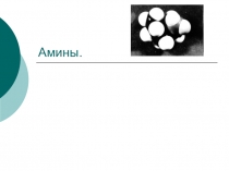 Амины. Применение хорошо рассмотрено