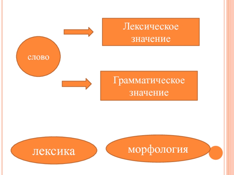 Лексическое значение слова каждой. Лексика лексическое и грамматическое значение слова. Лексическое и грамматическое значаение слова 