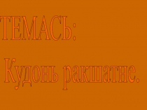 Презентация по эрзянскому языку на тему: Кудонь ракшат (2 класс)