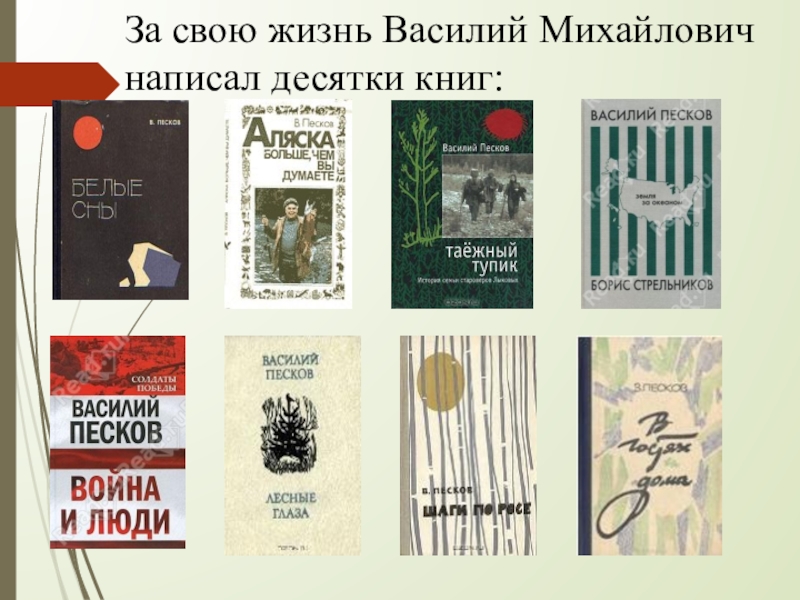 Очерк пескова. Василий Песков очерки. В. Песков очерки. Василий Песков Лесные глаза. Жила Василий Михайлович.