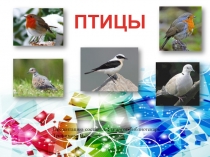 Презентация к внеклассному мероприятию Птицы
