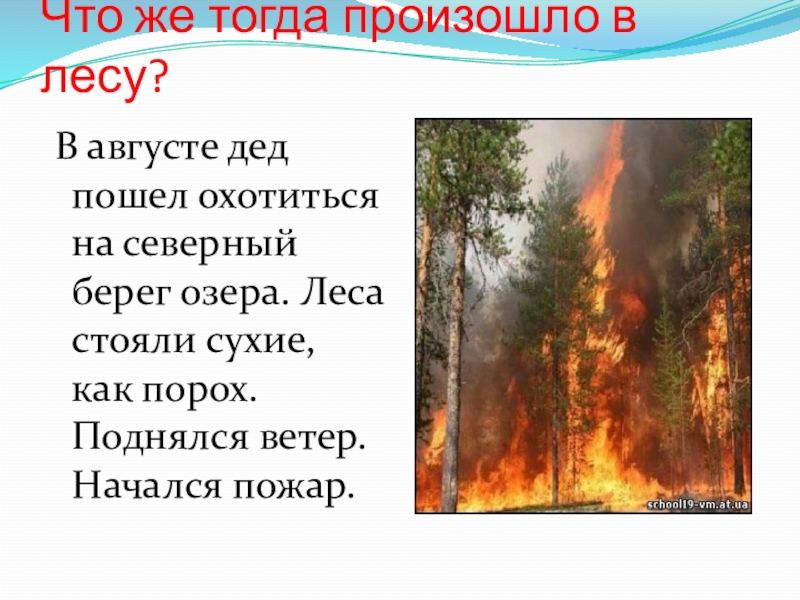 Что же тогда произошло в лесу? В августе дед пошел охотиться на северный берег озера. Леса стояли