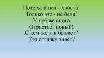 Презентация по технологии на тему : Работа с бумагой.Ящерица.