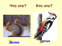 Презентация к конспекту логопедического занятия по теме: Дифференциация строчных букв б и д (2-3 класс)