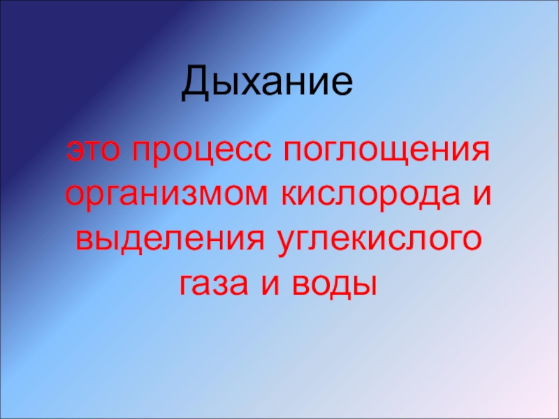 Биология презентация 8 класс дыхание