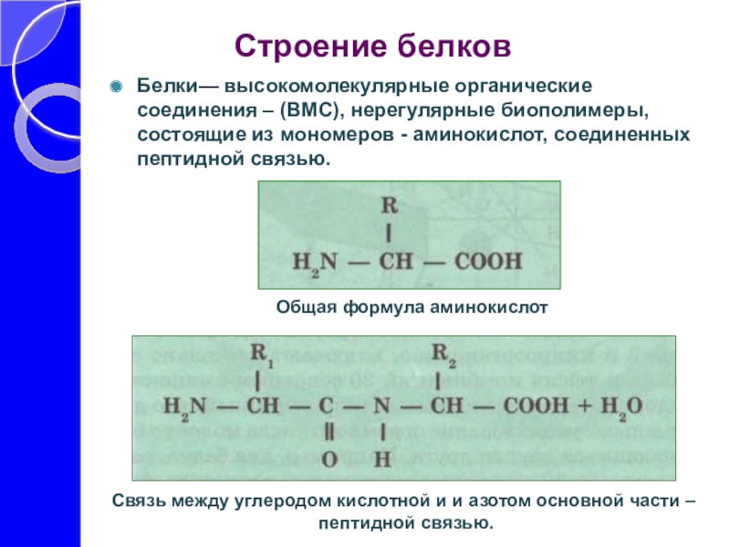 Презентация по теме аминокислоты белки 10 класс