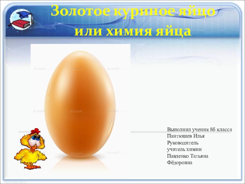 Можно говорить яичко. Презентация на тему яйцо куриное. Яйцо или яйца. Яйцо или яичко как правильно говорить. Яйца химия.