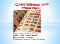 Проект Удивительный мир коллекций